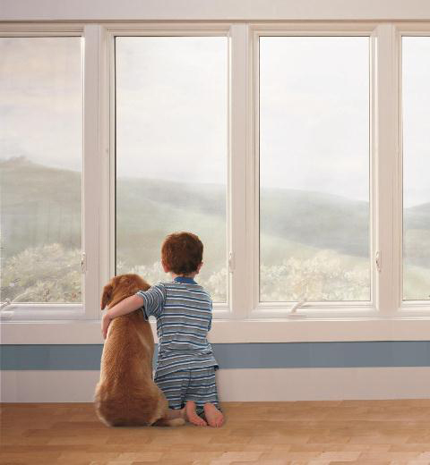 Ideal Window